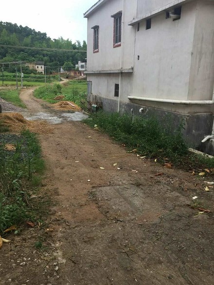 1500877335431787.jpg 1500877335431787.jpg