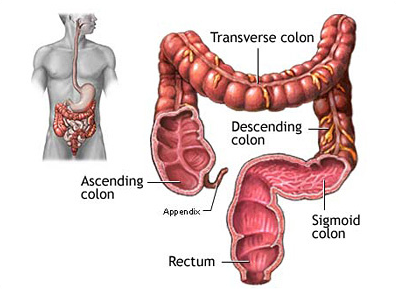 1513823657922774.png image.png